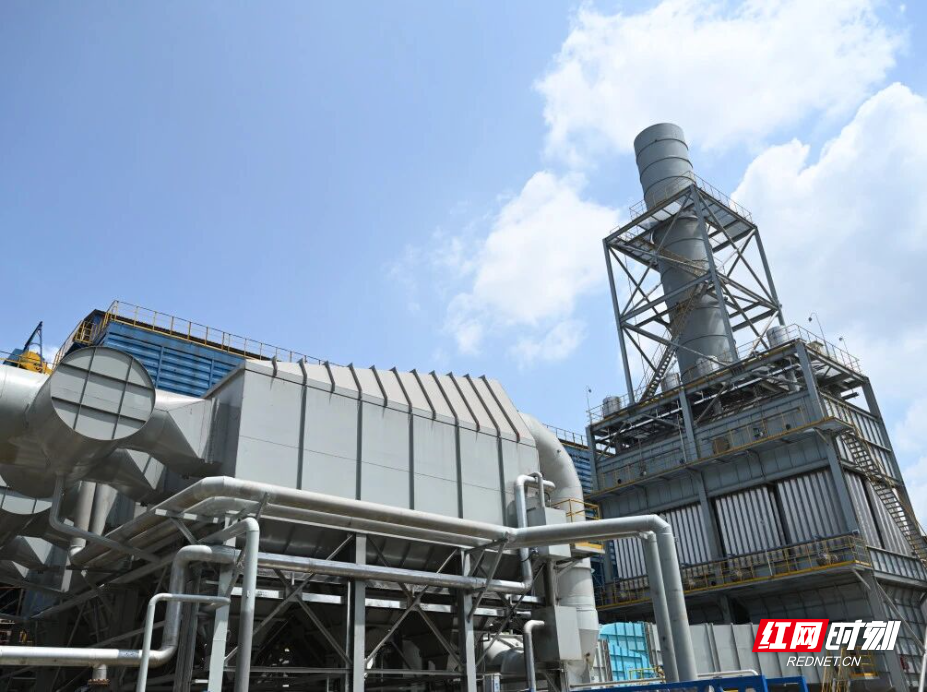 《紅網時刻》“綠”動鋼城：衡鋼以超低排放書寫企城共融新篇章